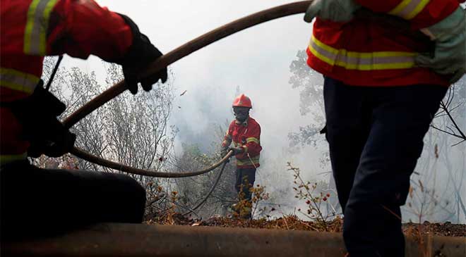 Bombeiros combatem foco de incêndio no Pantanal